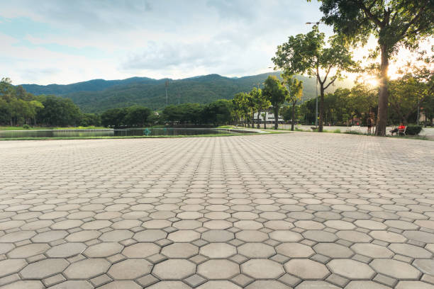 Best Local Driveway Pavers  in Unionville, MO